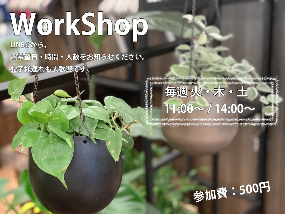 インテリアグリーンで植物をもっと身近に ハイドロカルチャー マイサカ家具